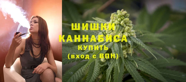 прущие крисы Гусев