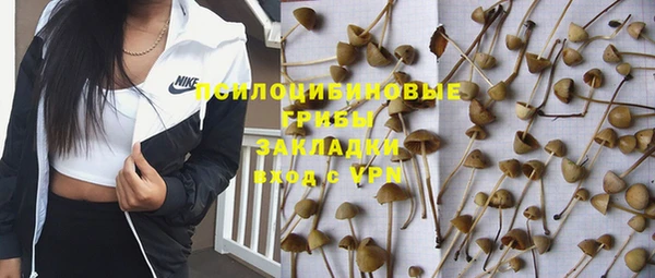 прущие крисы Гусев