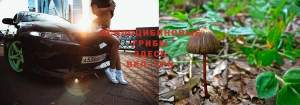 спайс Вяземский