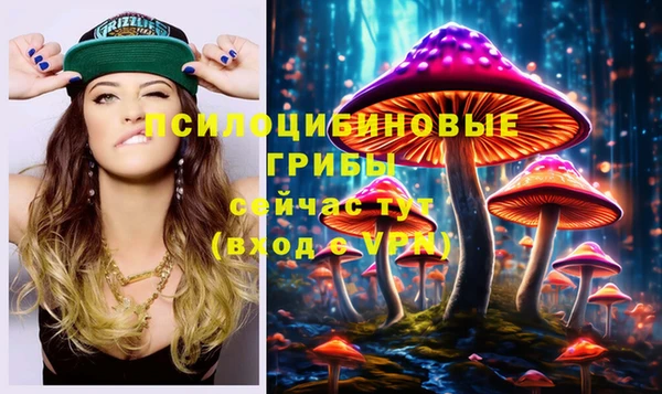 спайс Вяземский